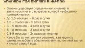 Kolikrát denně krmí štěně, dospělého psa